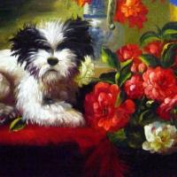 Adriana-Johanna Haanen