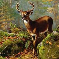 Arthur Fitzwilliam Tait