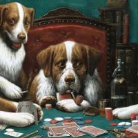 Cassius Marcellus Coolidge