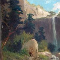 Frederick Ferdinand Schafer