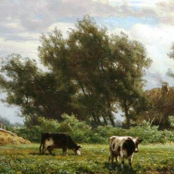 Jan Willem van Borselen