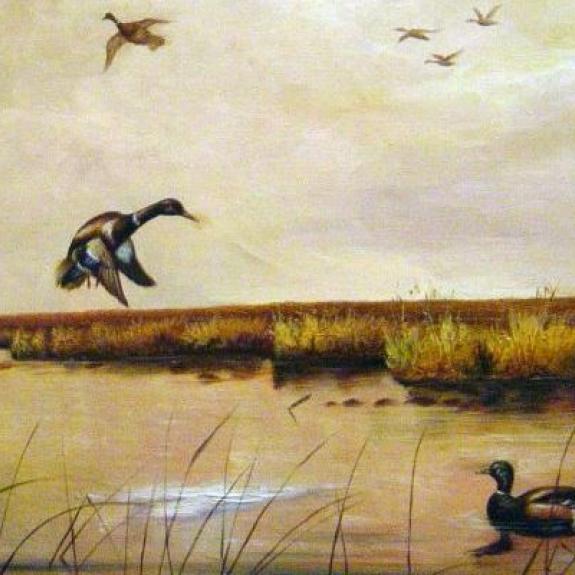 Louis Agassiz Fuertes