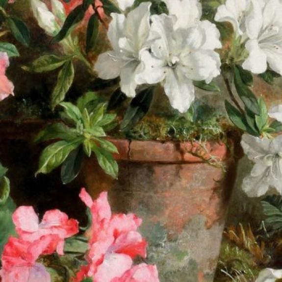 Martha Darley Mutrie