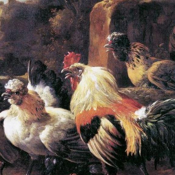 Melchior De Hondecoeter