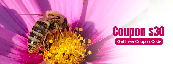 Coupon $30