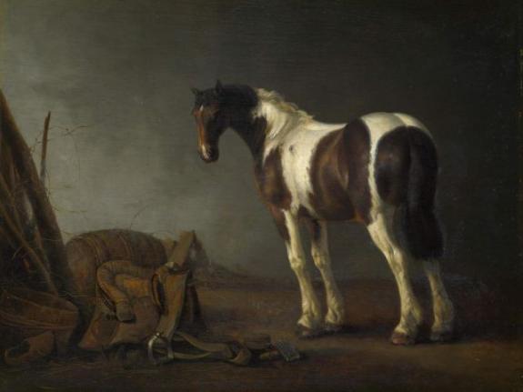 Horse With A Saddle