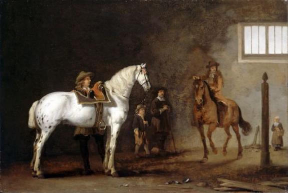 White Horse In A Riding School