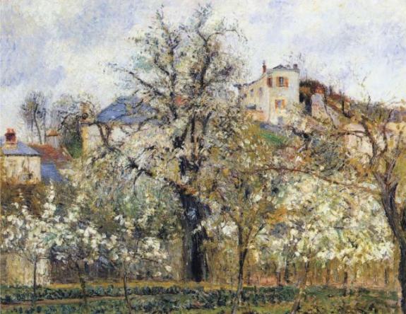 Orchard With Flowering Trees
