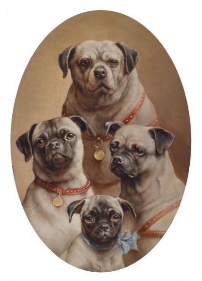 Family Of Mops