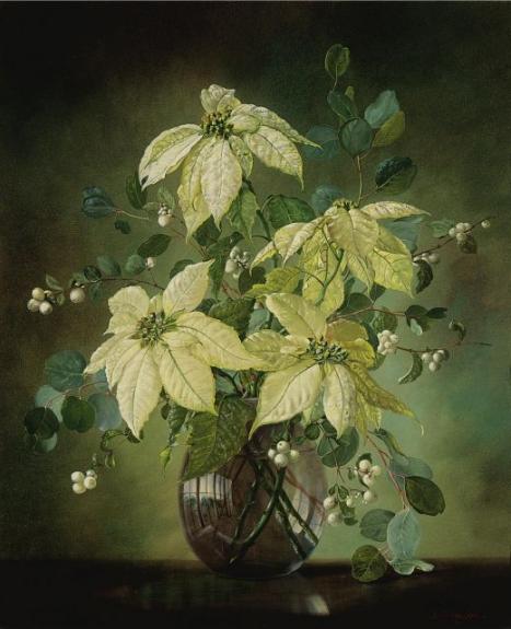 Still Life With Snowberries And Poinsettias