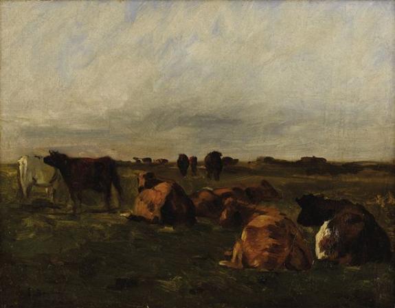 Cows In The Pasture