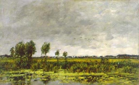 Swamp In Honfleur