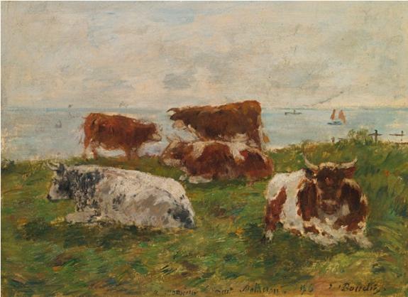 Vaches Au Pr Au Bord De La Mer