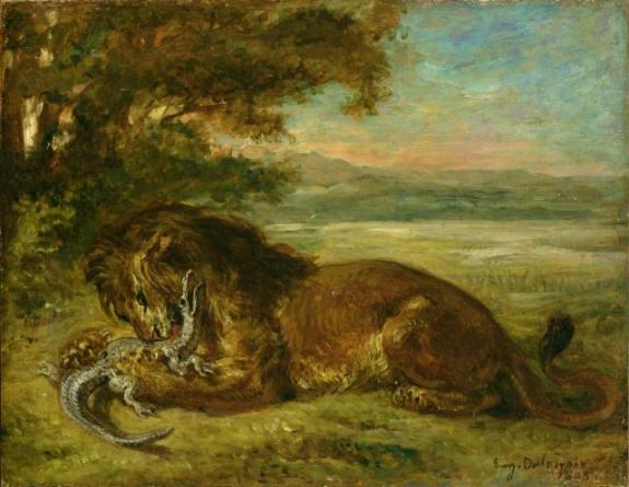 Lion And Alligator