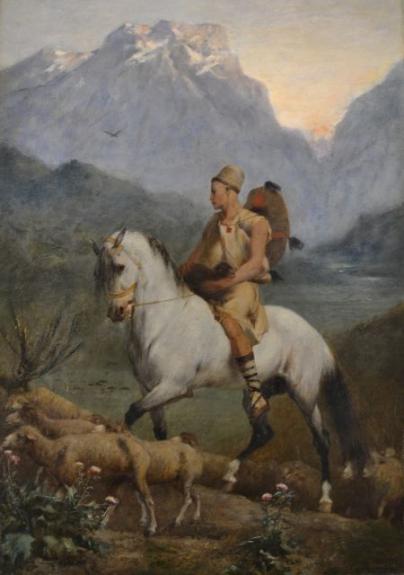 Kabyle Shepherd