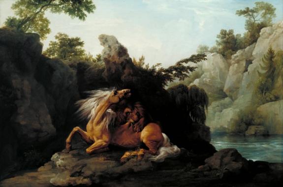 Horse Devoured By A Lion