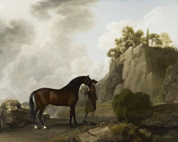 The Marquess Of Rockingham's Arabian Stallion