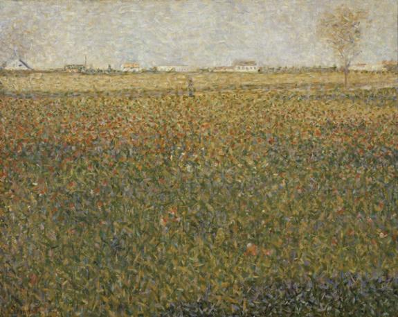 Alfalfa Fields, Saint Denis