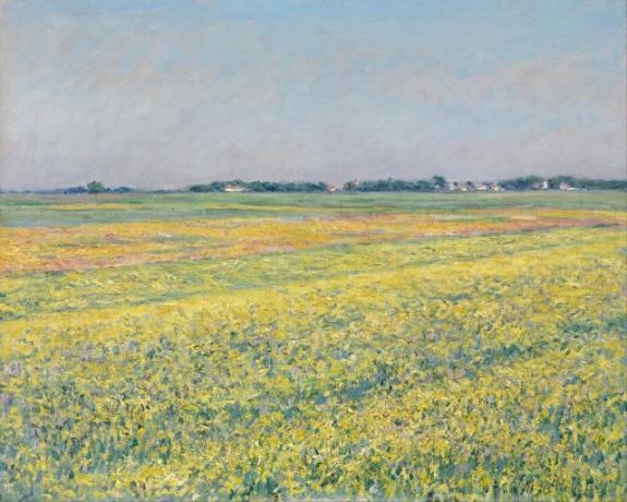 The Plain Of Gennevilliers, Yellow Fields