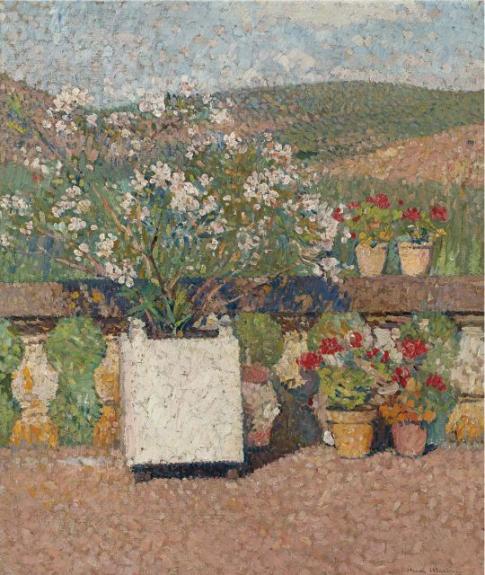 Bac De Lauriers-Roses Et Pots De Geraniums Sur La Terrasse De Marquayrol En Ete