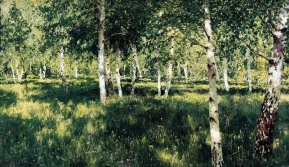 Birch Grove