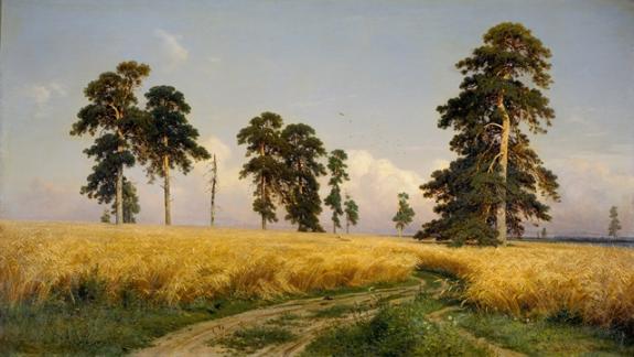 The Field Of Wheat