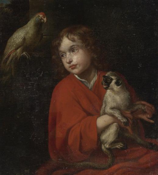 Parrot Watching A Boy Holding A Monkey