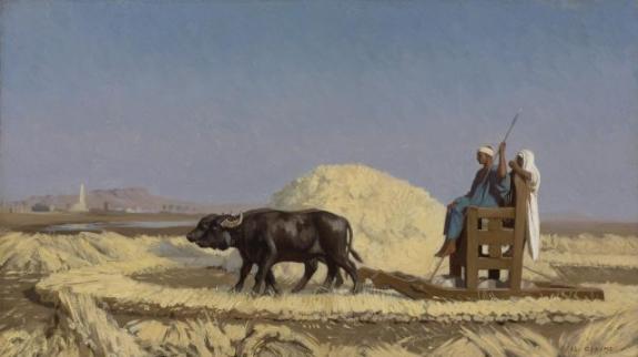 Egyptian Grain-Cutters