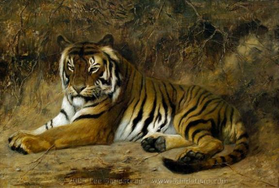 Tiger Springfield Ma