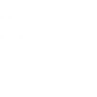 Blackburnian Warbler1827