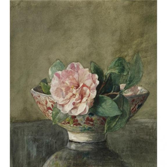 Camellia In Old Chinese Vase On Black Lacquer Table