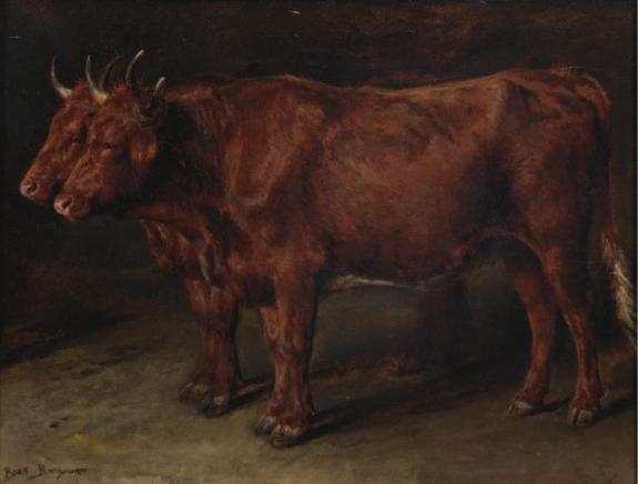 A Pair Of Oxen