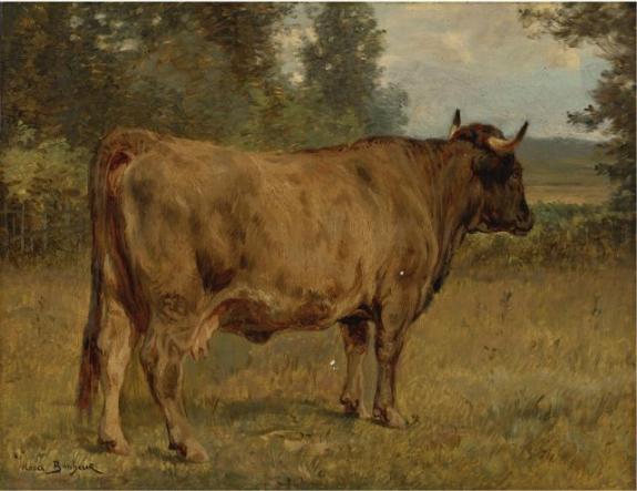 Bull In A Landscape
