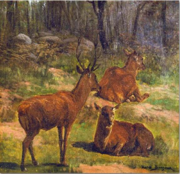 Deer At Fontainebleau