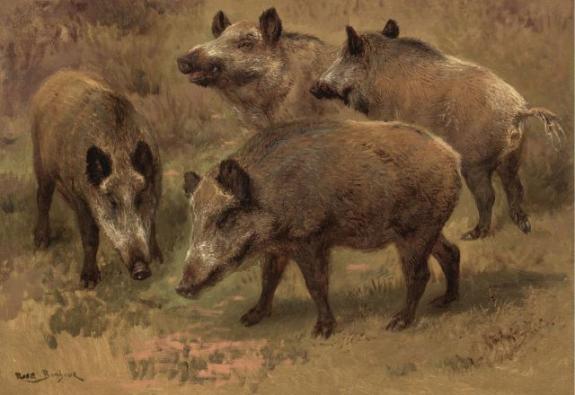 Four Boars In A Landscape