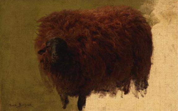 Large Wooly Sheep