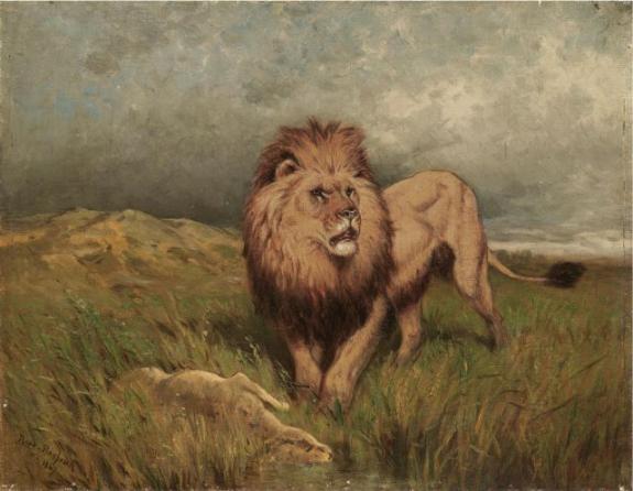 Lion And Prey