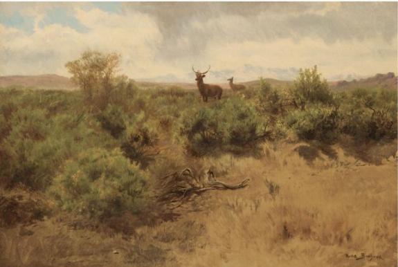 Stag And Doe In A Landscape