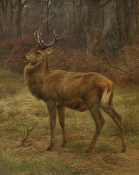 Stag In An Autumn Landscape