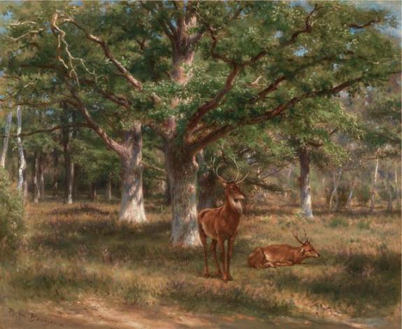 Two Deer In A Forest Glade