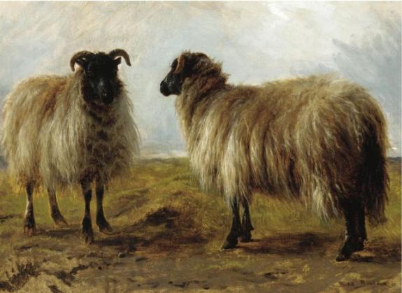 Two Rams In A Landscape