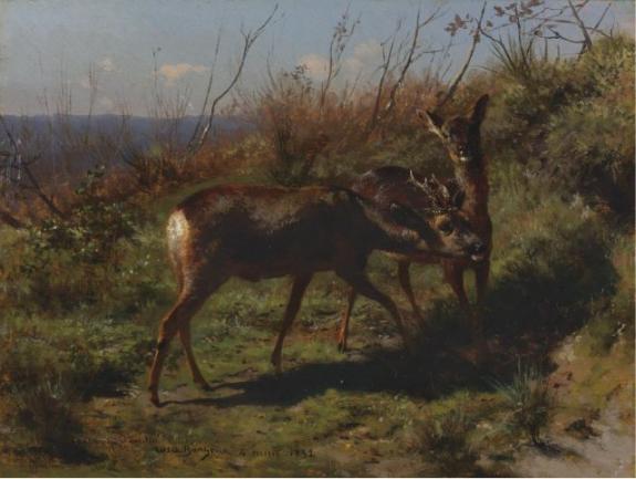 Two Young Deer