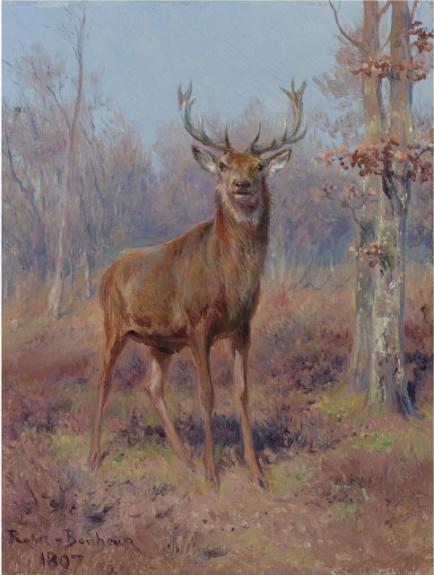 Young Stag In A Wooded Landscape