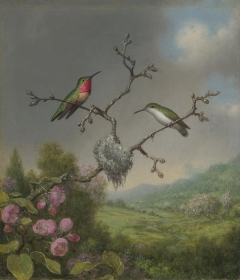 Hummingbirds And Apple Blossoms