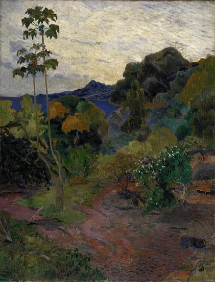 Martinique Landscape