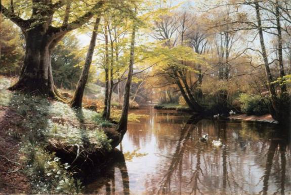River Landscape In Springtime