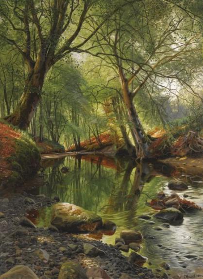 A Woodland Stream