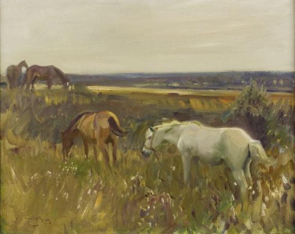 Horses at Pasture