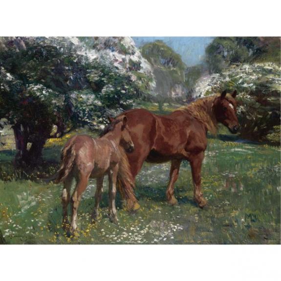 Mare And Foal In A Spring Meadow