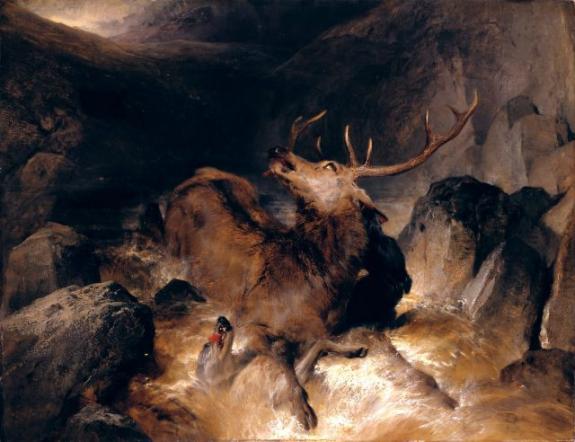 Deer And Deer Hounds In A Mountain Torrent